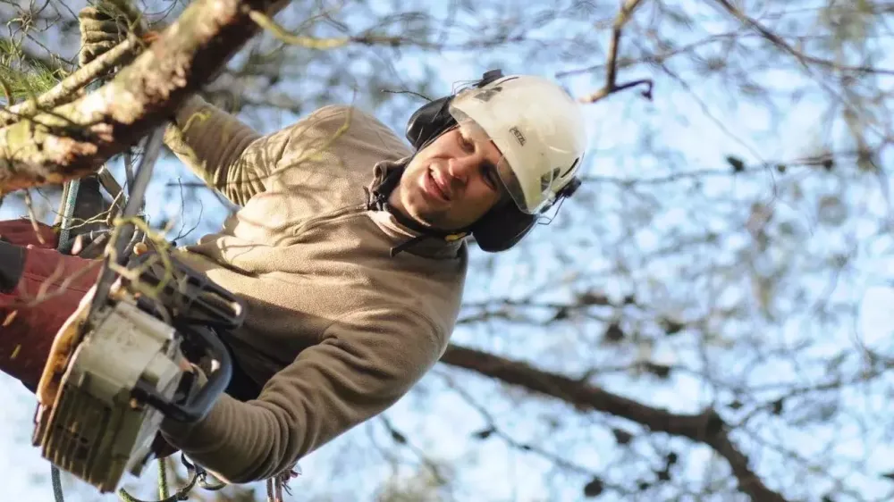 Un professionnel amoureux des espaces verts à votre écoute