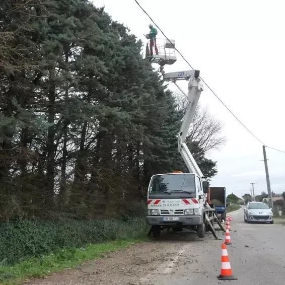 elagage-toute-hauteur-uzes.jpg